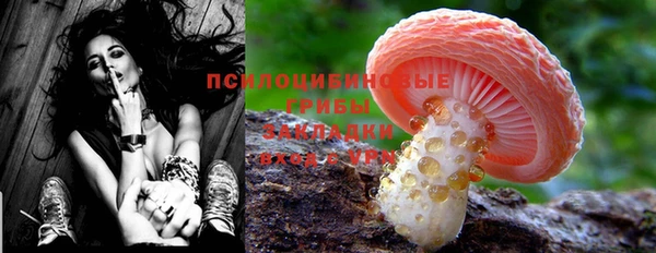 синтетический гашиш Вяземский