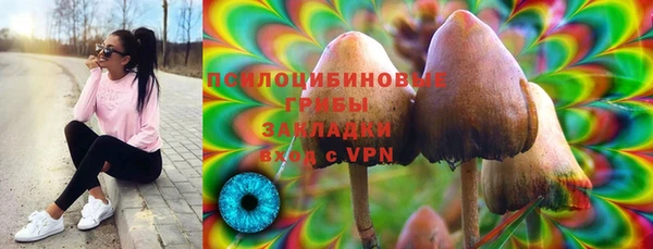 a pvp Горно-Алтайск